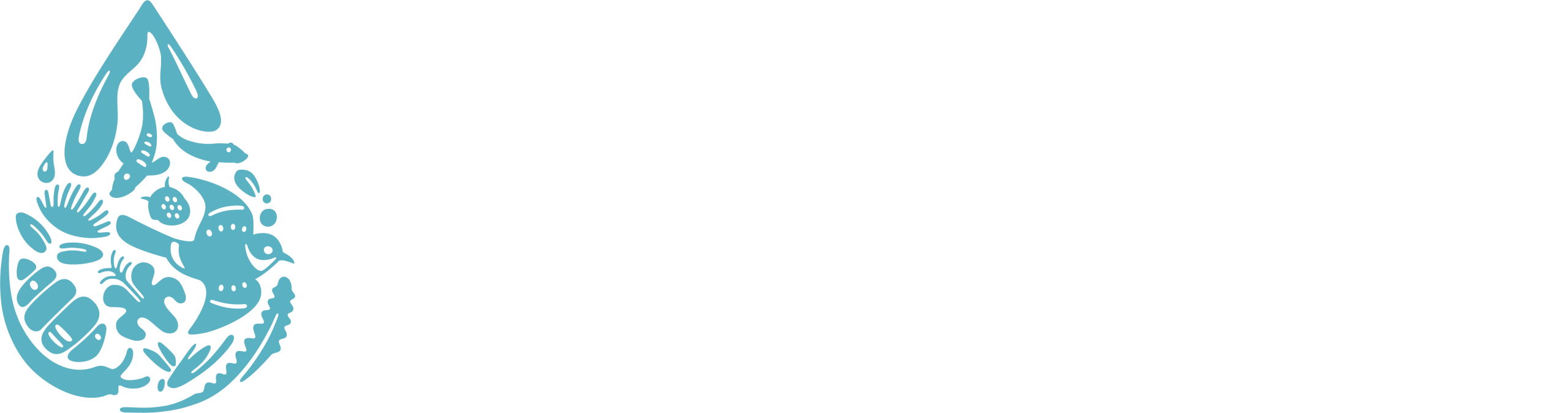 Red Hill WAI logo lockup in white